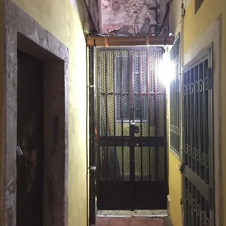 Patri House